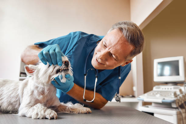 Best Emergency Root Canal Treatment in Kerens, TX